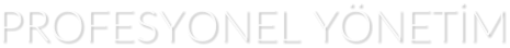 PROFESYONEL YNETM